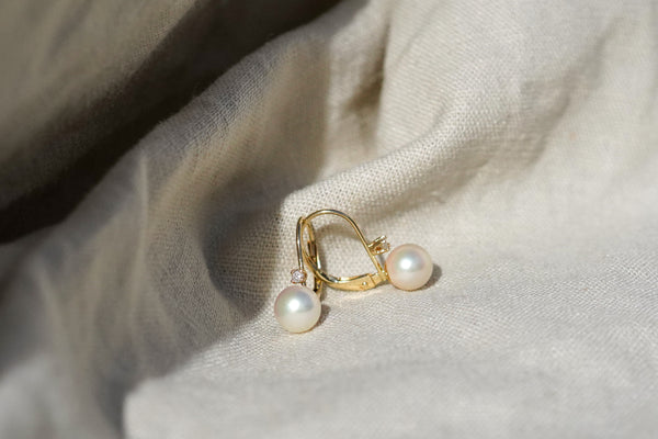 The Pearl And Diamond Earring